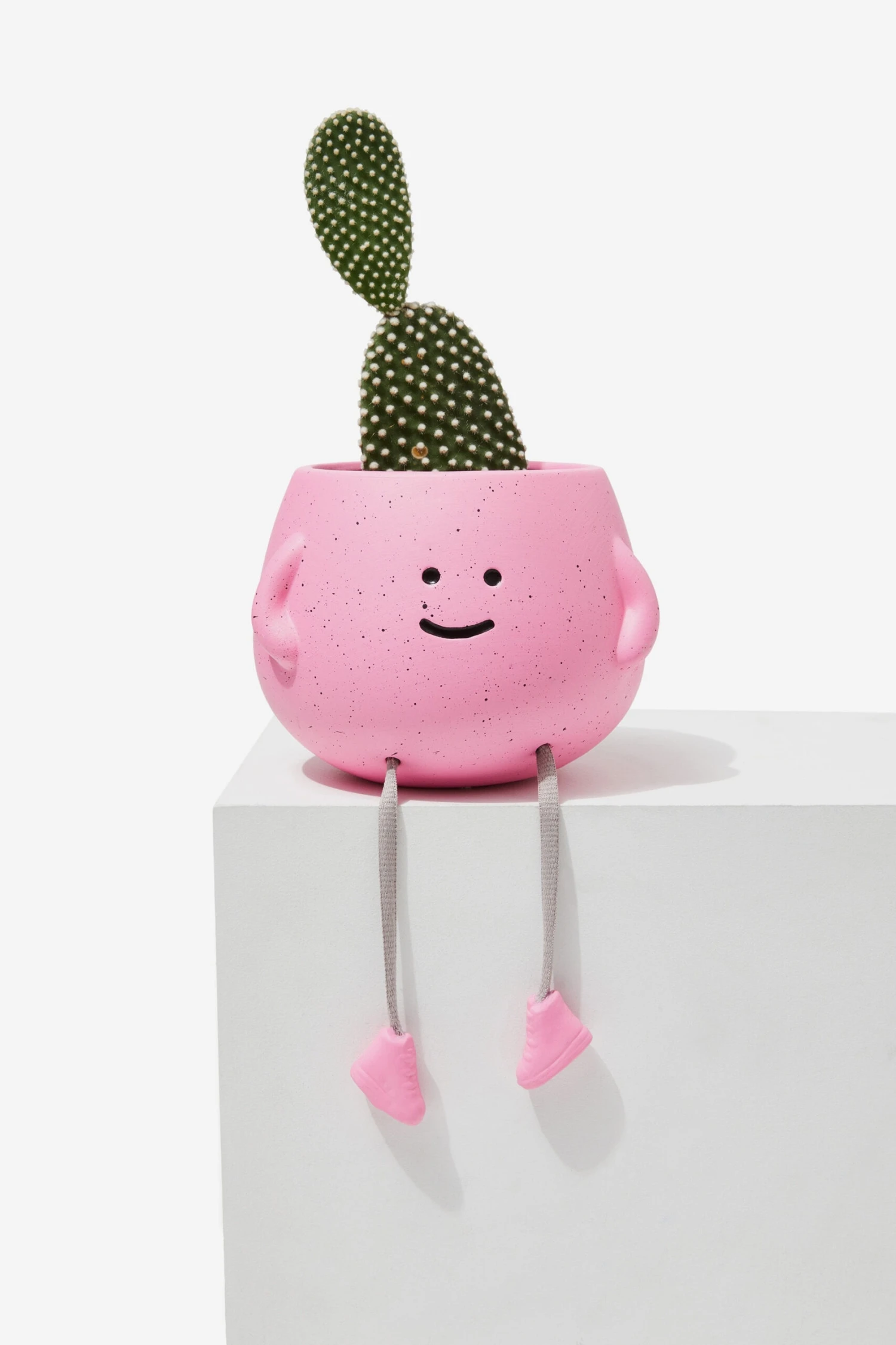 Typo Home Decor Midi Shaped Planter 4 Typo Home Decor Midi Shaped Planter - Image 2