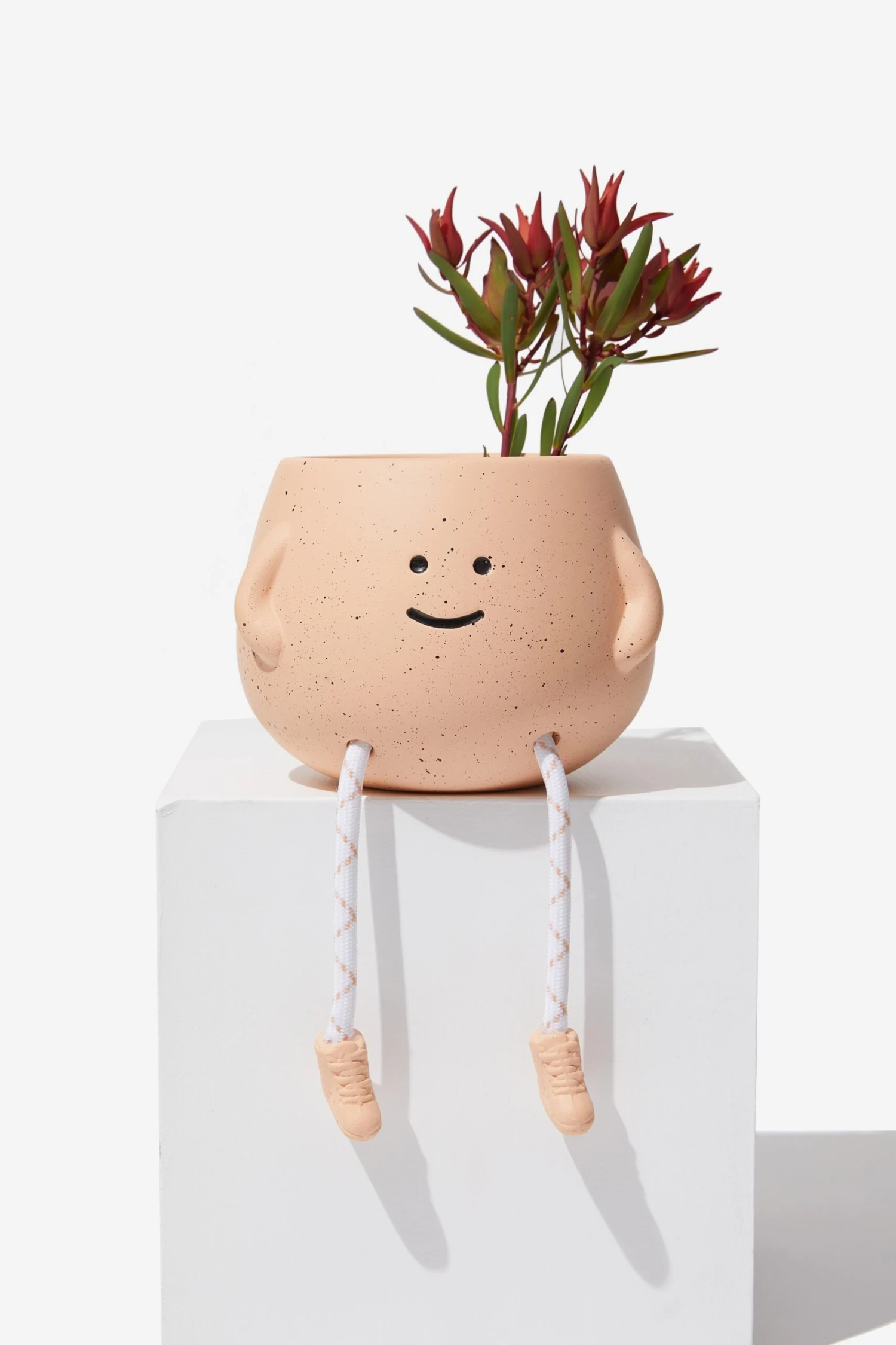 Typo Planters & Vases Midi Shaped Planter 4 Typo Planters & Vases Midi Shaped Planter - Image 2