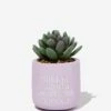 Typo Planters & Vases Tiny Planter With Plant -Typo 1684113 31 2