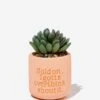 Typo Planters & Vases Tiny Planter With Plant 1 Typo Planters & Vases Tiny Planter With Plant -Typo 1684113 32 2