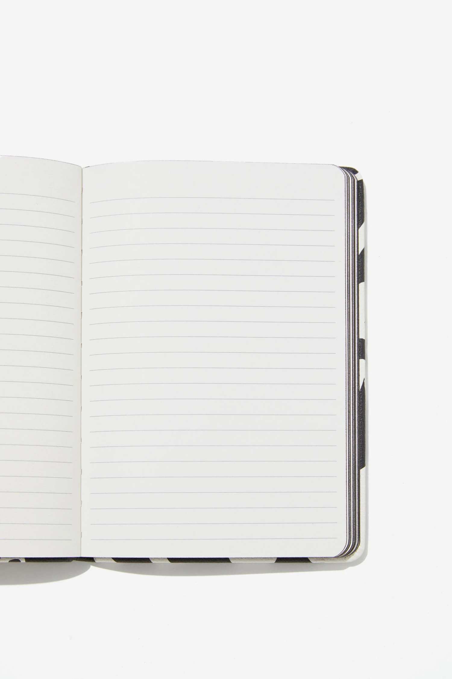 A5 Buffalo Journal Recycled Mix 4 A5 Buffalo Journal Recycled Mix - Image 2