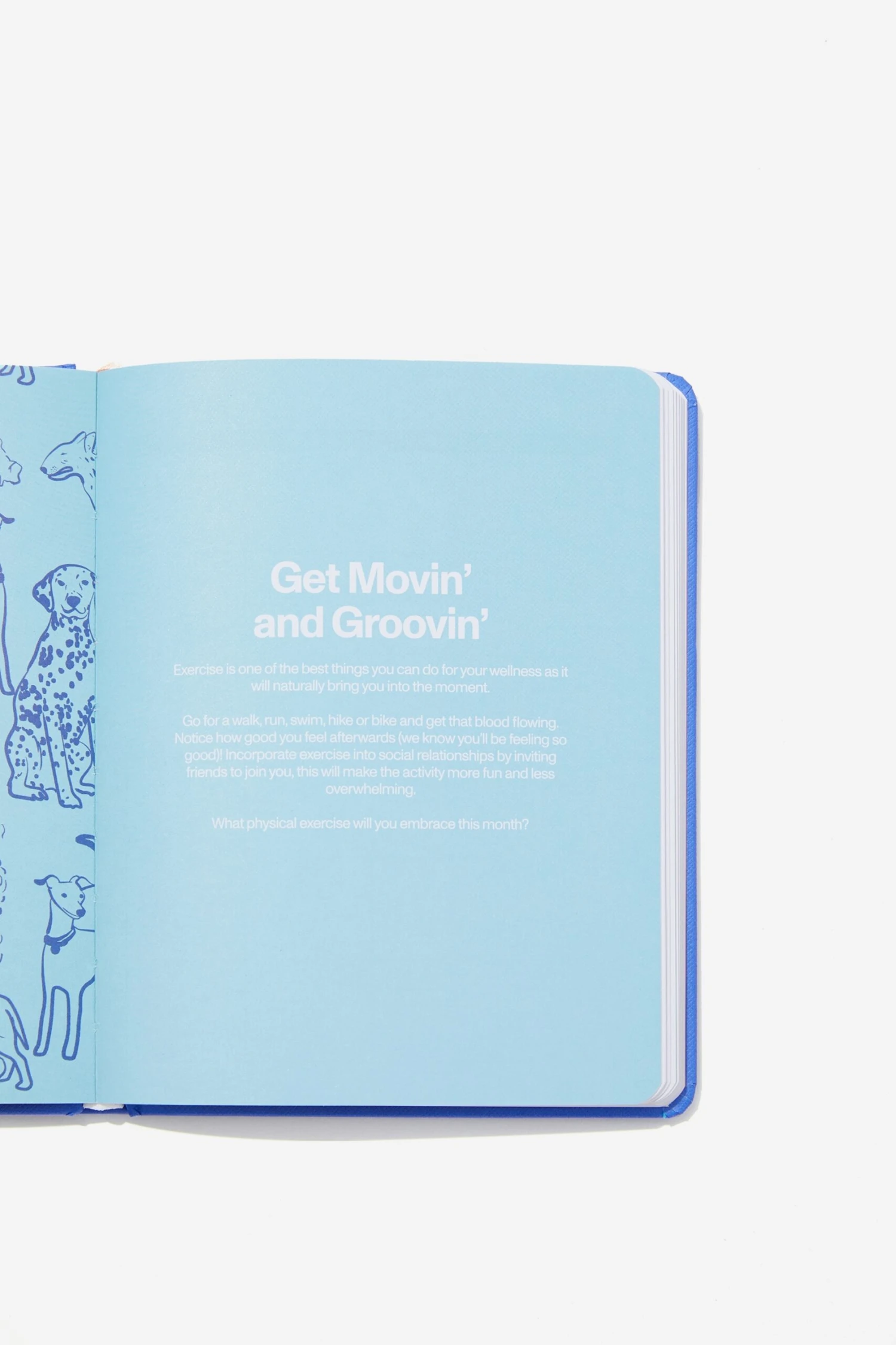 Typo Diaries & Planners Small Undated Wellness Diary 4 Typo Diaries & Planners Small Undated Wellness Diary - Image 2